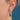 Victorian Pique Shell Earrings- 9ct Gold Hooks
